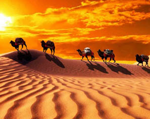 Silk Road Tours